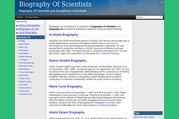 WordPress website example screenshot