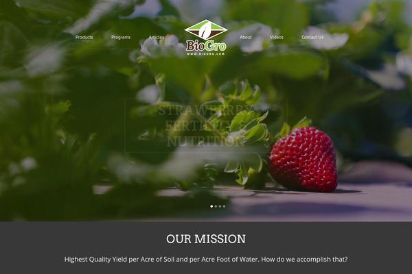 Bridge theme site design template sample