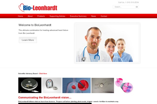 WordPress website example screenshot