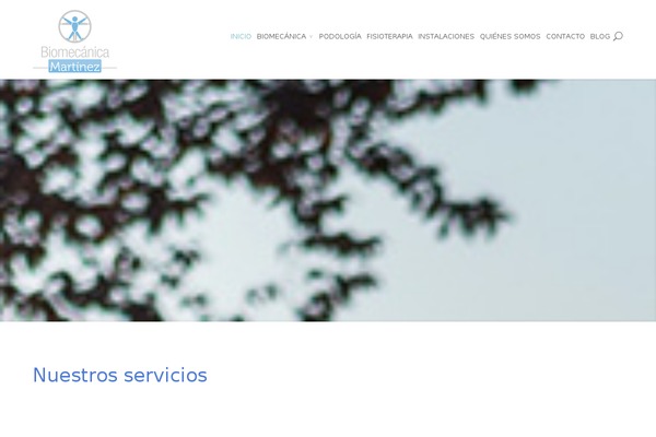 Divi theme site design template sample
