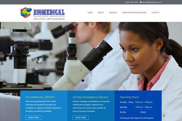 Divi theme site design template sample