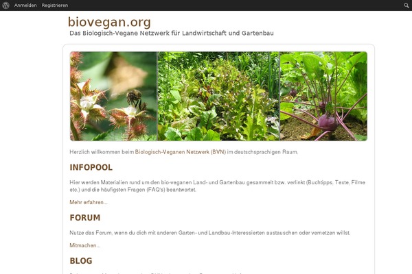 biovegan.org site used Theme_bvn
