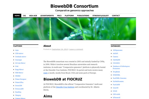 WordPress website example screenshot