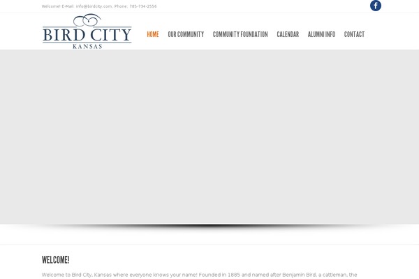 Purity theme site design template sample