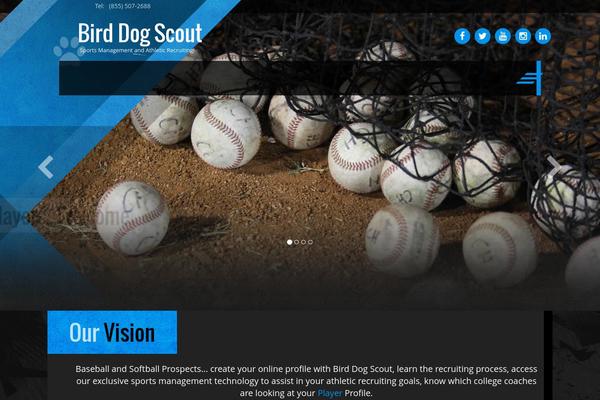 birddogscout.com site used Innovation_blue-grey_baseball