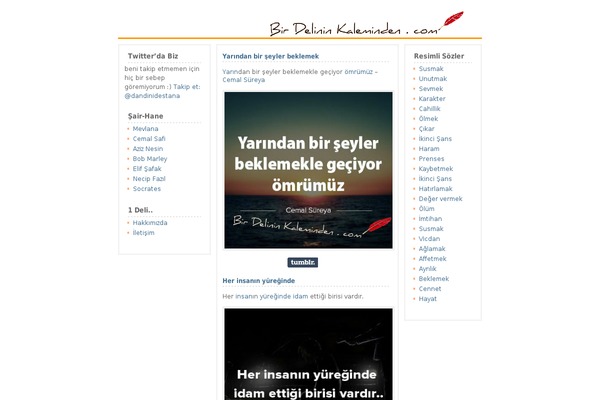 sozler WordPress theme, websites list used sozler theme sozler theme websites examples