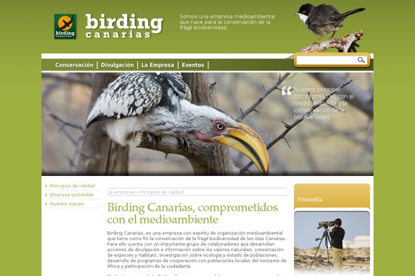 birding theme websites examples