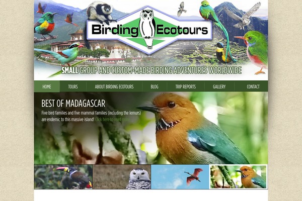 birdingecotours.co.za site used Birdingecotours