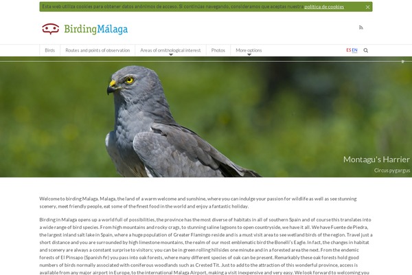 birdingmalaga.com site used Birding