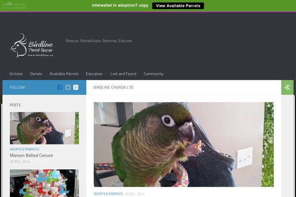 WordPress website example screenshot