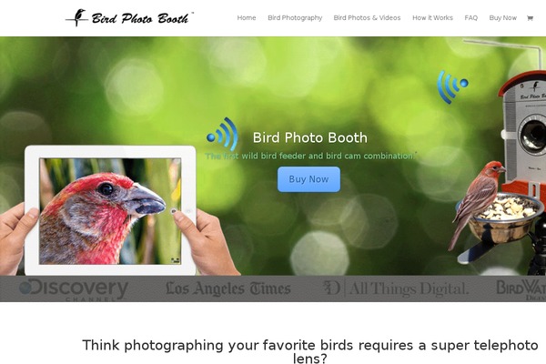 Divi theme site design template sample