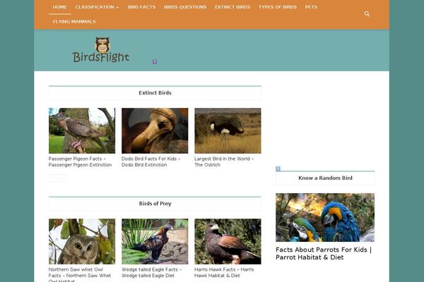 The Fox theme site design template sample
