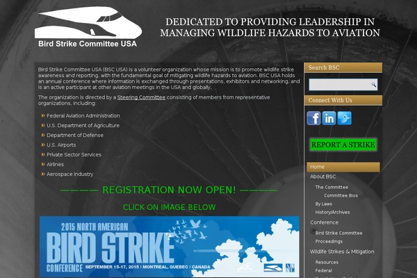 birdstrike.org site used Bird_strike_approved_theme