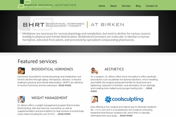 WordPress website example screenshot