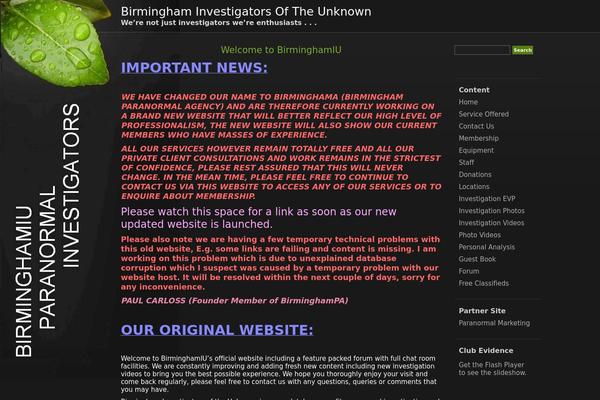 birminghamiu.com site used Natural-remedy-blog-theme