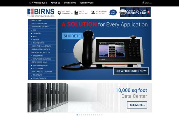 birns.net site used Birns-2017