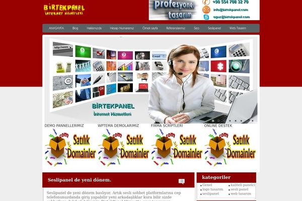 birtekpanel.com site used Birtekpanel