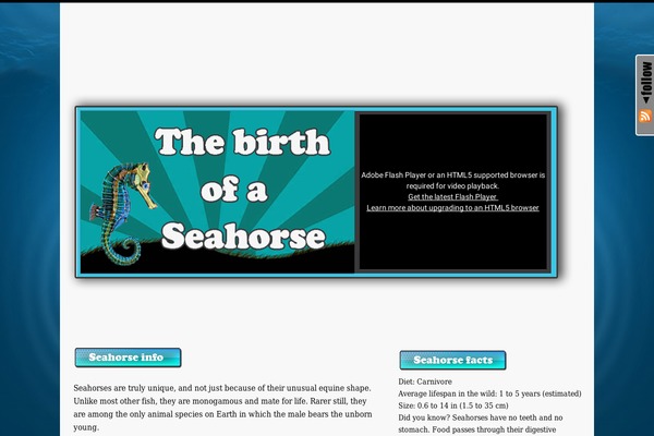 birthofaseahorse.com site used Platformpro_dev