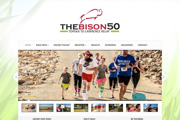 bison50.com site used Aggregate