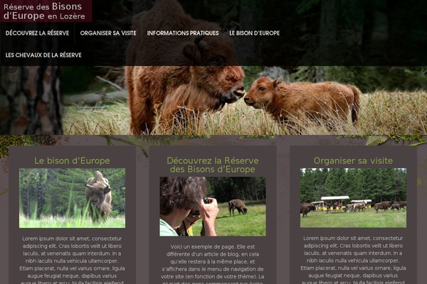 bisoneurope.com site used Madebycharlotte