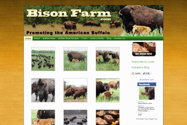 bisonfarm.com site used Bisonfarm