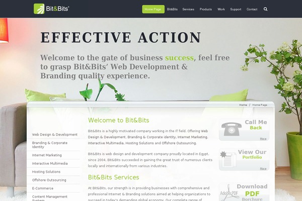 WordPress website example screenshot