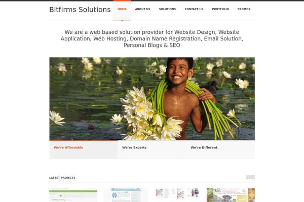 bitfirms.net site used Bitfirms