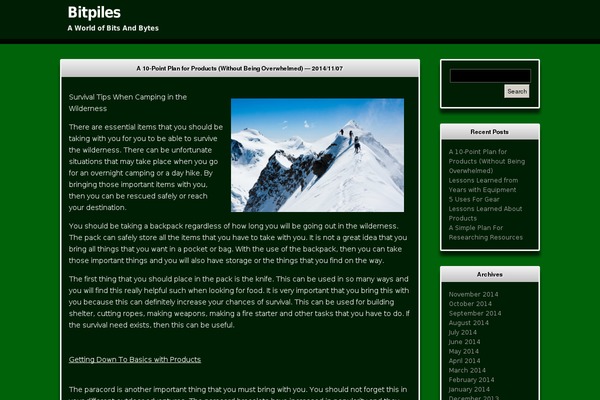 WordPress website example screenshot