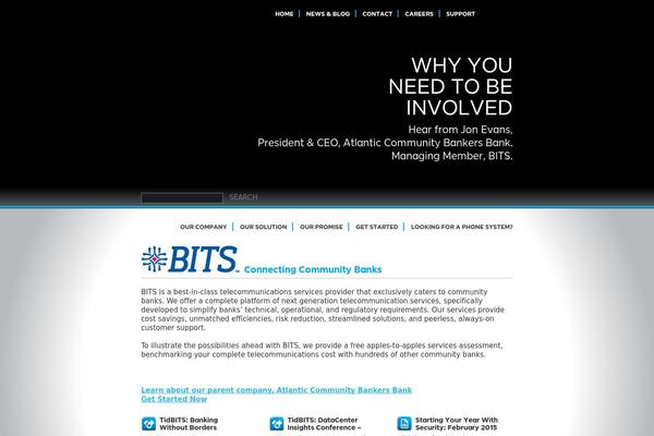 bitsnetwork.com site used Bits
