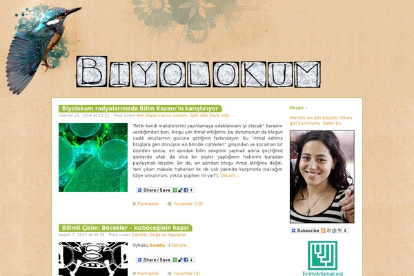 biyolokum.com site used Almost Spring