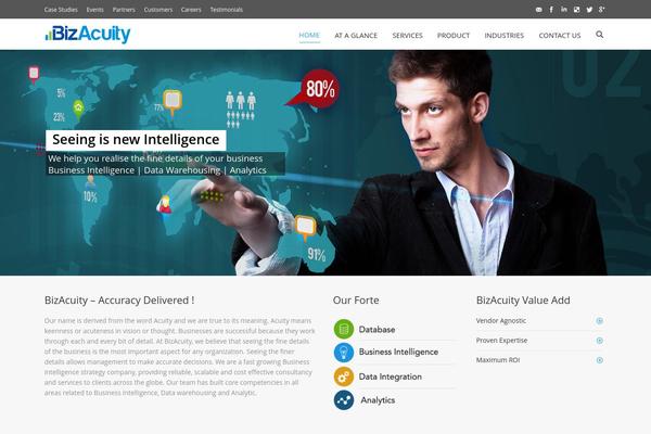 bizacuity.com site used Bizacuity