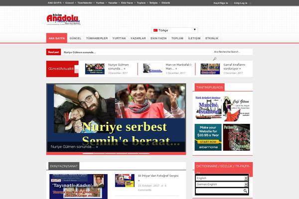 bizimanadolu.com site used Breakingnews_two_column