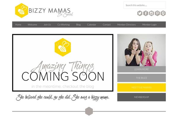 bizzymamas.com site used Beautiful-day