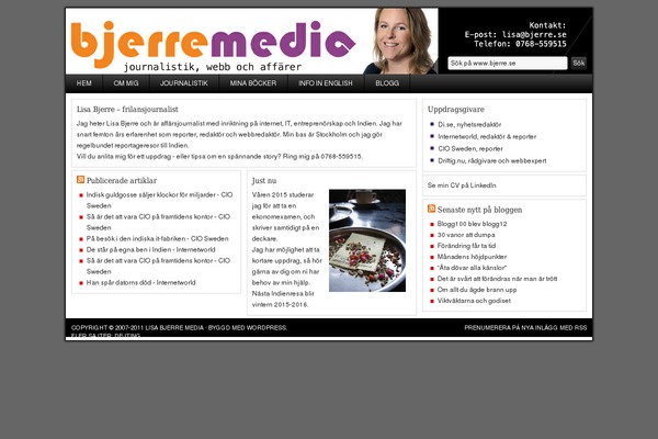 bjerre.se site used Corporate_10