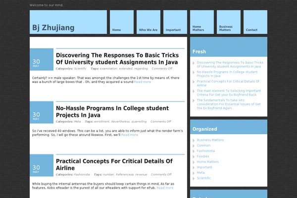 WordPress website example screenshot