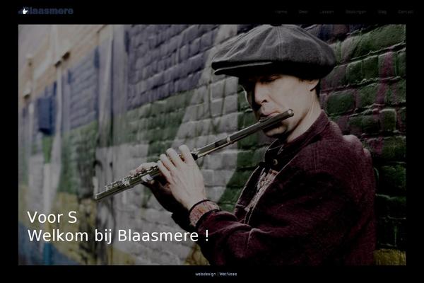 blaasmere.nl site used Solarwind