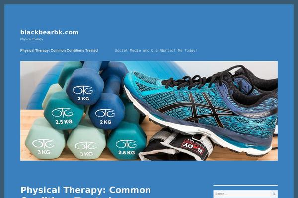 Twenty Sixteen theme site design template sample