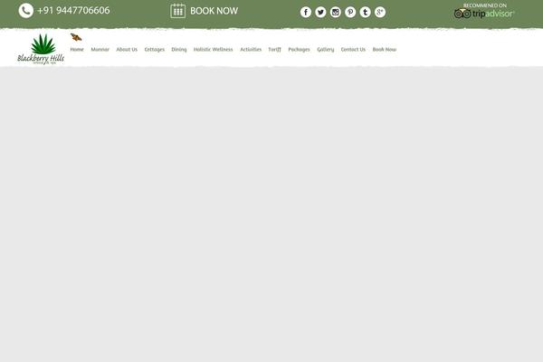 Avada theme site design template sample