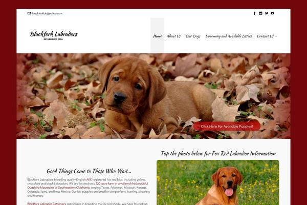 WordPress website example screenshot