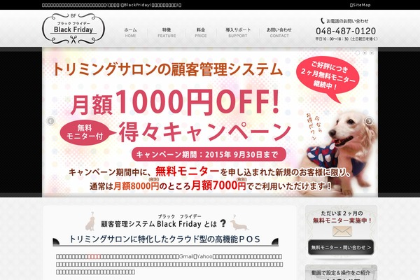 blackfriday-pos.jp site used Homepage3