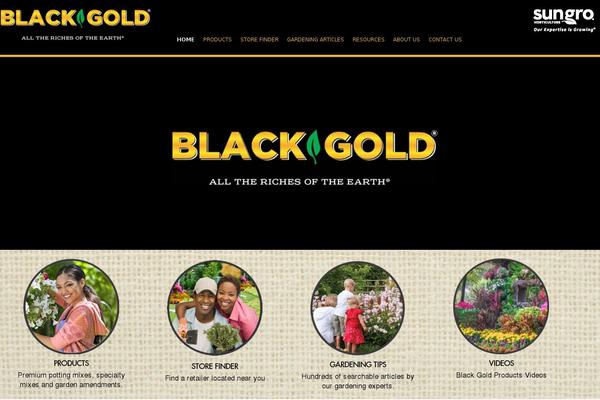 blackgold.bz site used Blackgold