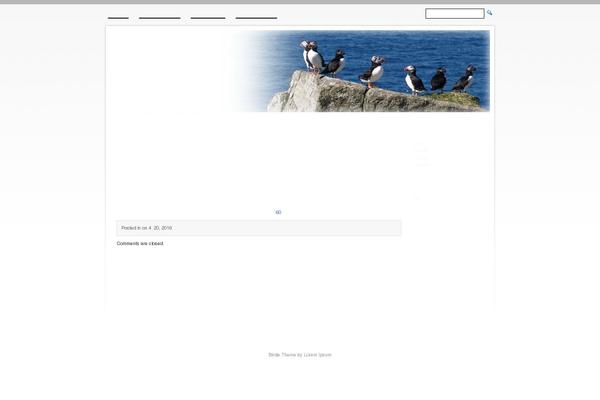 blackhatx.net site used Birdie