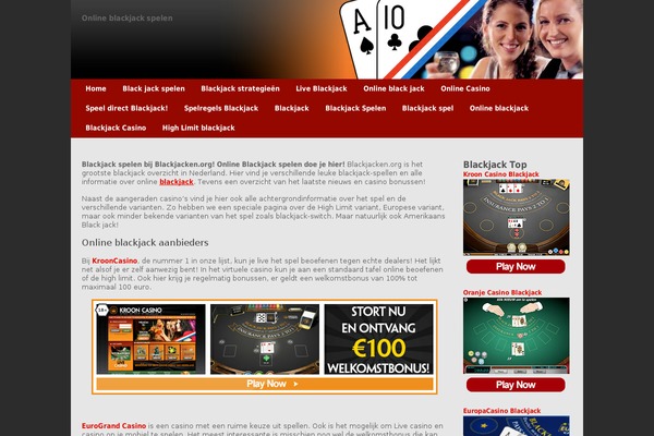 WordPress website example screenshot