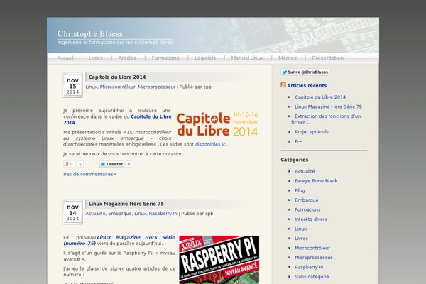 WordPress website example screenshot