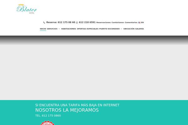 Internetpower theme site design template sample
