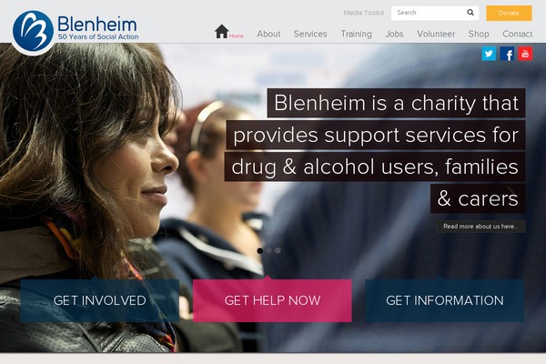 blenheimcdp.org.uk site used Blenheim