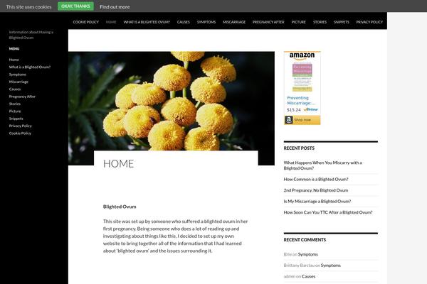 Twenty Fourteen theme site design template sample
