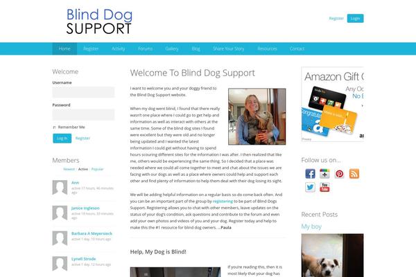 blinddogsupport.com site used Acabado-1