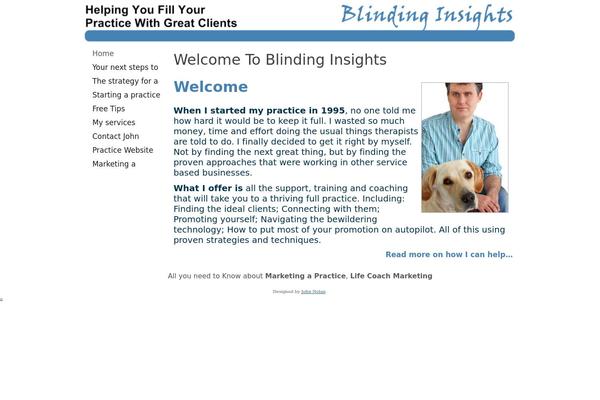 blinding-insights.com site used Blinfinginsights3