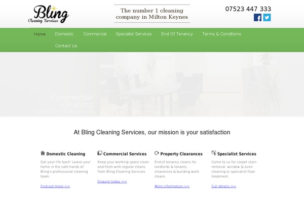 blingcleaning.co.uk site used DonateNow